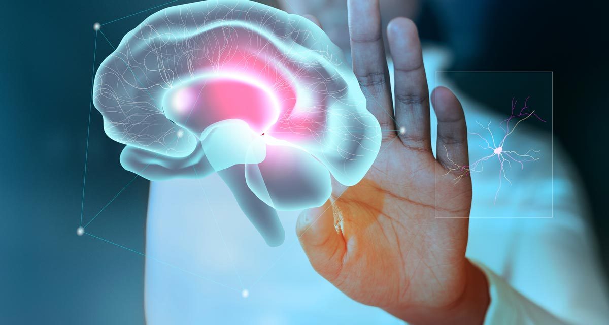 Temporal Lobe ADD: Why Irritability and Panic May Be Brain-Based